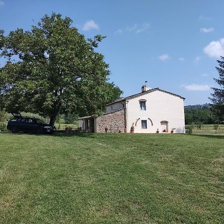 Podere Greve Chianti San Casciano in Val di Pesa Kültér fotó