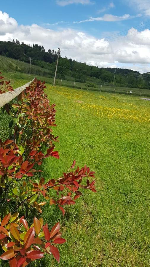 Podere Greve Chianti San Casciano in Val di Pesa Kültér fotó