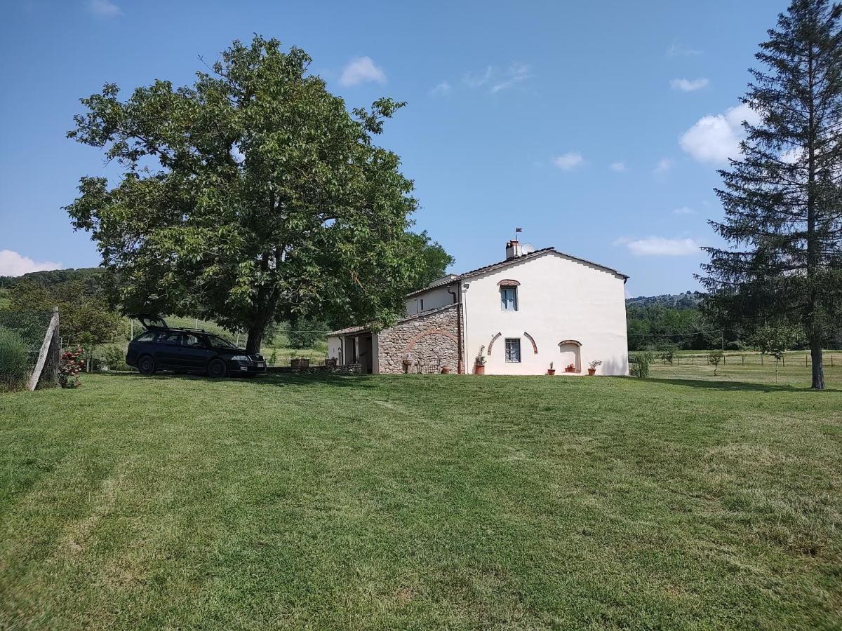 Podere Greve Chianti San Casciano in Val di Pesa Kültér fotó