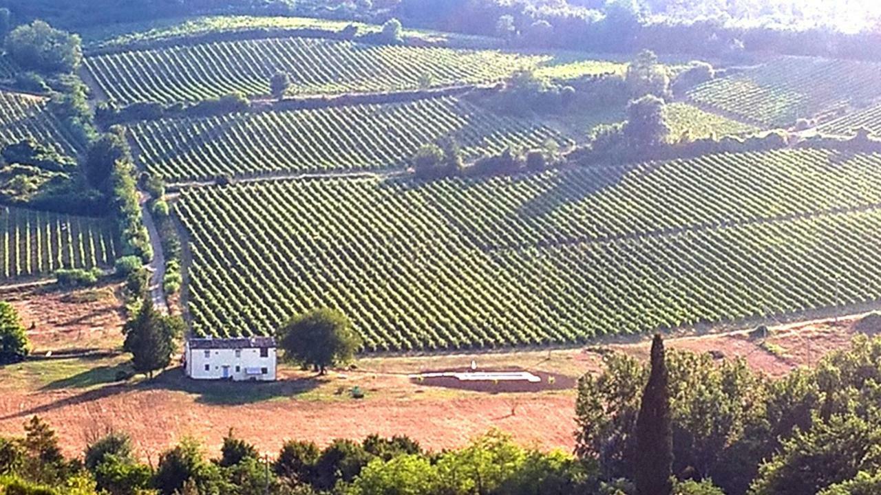 Podere Greve Chianti San Casciano in Val di Pesa Kültér fotó